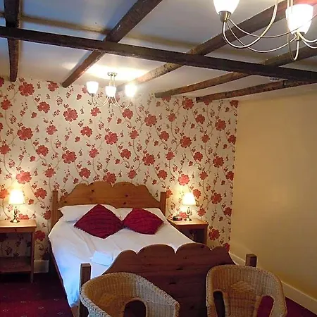 The New Otel
